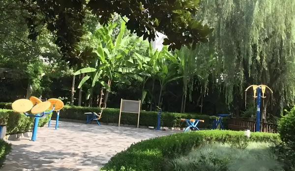 葩赋