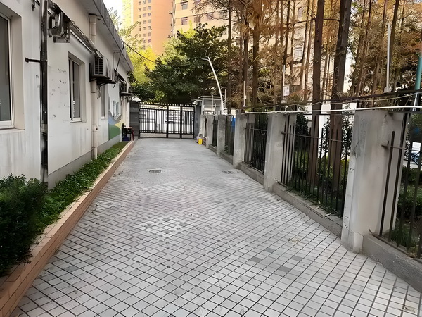 嫡裔